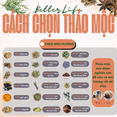 Thảo mộc xông nhà 12 loại Better Life - Tẩy uế, đón Tết, mở cửa tài lộc, giá 70.000 VND 7