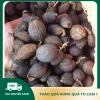 Thảo quả thượng hạng, quả to siêu thơm sạch, già chắc hạt - Gia vị nấu ăn 50.000 VND 3