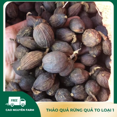 Thảo quả thượng hạng, quả to siêu thơm sạch, già chắc hạt - Gia vị nấu ăn 50.000 VND 3 Thảo quả thượng hạng, quả to siêu thơm sạch, già chắc hạt - Gia vị nấu ăn 50.000 VND 3