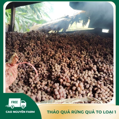 Thảo quả thượng hạng, quả to siêu thơm sạch, già chắc hạt - Gia vị nấu ăn 50.000 VND