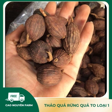 Thảo quả thượng hạng, quả to siêu thơm sạch, già chắc hạt - Gia vị nấu ăn 50.000 VND