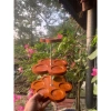 Tháp bày bia nước ngọt đa năng, thiết kế chắc chắn, giảm giá 20% chỉ 79.000₫ 9