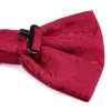 Thắt Nơ Nam Cưới Chổi Sang Trọng - Nơ Burgundy và Đen Hàn Quốc, Giá Ưu Đãi 112k 8