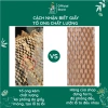 Thay Thế Xốp Hơi – Cuộn Giấy Xi Măng 50cm 30m & 100m Tổ Ong Kraft Thân Thiện Môi Trường – Giá 105.600₫ 6