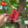 Thẻ thư pháp 5x7cm kèm dây treo cây mai đào - Trang trí Tết, giá ưu đãi 59.999đ 6