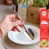 Thìa muỗng nhỏ GB51 đầu xẻng vuông độc đáo - Ăn hoa quả, pha cafe, giá 56.000đ
