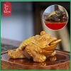 Thiềm thừ ngâm kim tiền đổi màu - Decor bàn trà sang trọng, giá ưu đãi 95.600₫ 6