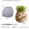 Thiên Nga Nhím Thịt Cừu Chậu Cây Xi Măng Silicon Mọng Nước Phim DIY Giá ưu đãi 125.895đ 6