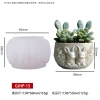 Thiên Nga Nhím Thịt Cừu Chậu Cây Xi Măng Silicon Mọng Nước Phim DIY Giá ưu đãi 125.895đ 8