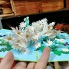 Thiệp 3D Dựng Giấy Nổi Vườn Hoa Xuyến Chi Pop Up Card Giá Ưu Đãi 39.000 VND 2