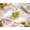 Thiệp 3D Tổ Ong & Hoa Hướng Dương Pop Up Card Độc Đáo A07 - Giá 99.000₫ 4