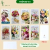 Thiệp 8/3 kèm phong bì Hàng Đẹp Chất Lượng Cao - Chúc Mừng Ngày Phụ Nữ, Giá 122.670₫ 2