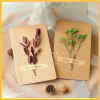 Thiệp Giấy Vintage Gắn Hoa Khô Kraf Trắng - Sinh Nhật, Valentine, 8/3 - 7.000₫ 3