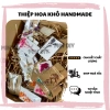 Thiệp handmade vintage hoa khô nhỏ xinh - quà Valentine, 8/3, 20/10, sinh nhật, giá ưu đãi 7.200đ