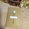 Thiệp Hoa Handmade Vintage Valentine 8/3 Sinh Nhật Giấy Mỹ Thuật Giá 15.000 4