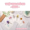 Thiệp hoa khô EBI HANDMADE vintage cao cấp chúc mừng sinh nhật Valentine 14/2 8/3 20/10 20/11 - Giá chỉ 13.000 VND 2