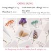 Thiệp hoa khô EBI HANDMADE vintage cao cấp chúc mừng sinh nhật Valentine 14/2 8/3 20/10 20/11 - Giá chỉ 13.000 VND 4