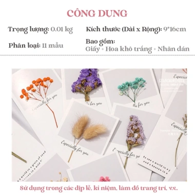 Thiệp hoa khô EBI HANDMADE vintage cao cấp chúc mừng sinh nhật Valentine 14/2 8/3 20/10 20/11 - Giá chỉ 13.000 VND 4 Thiệp hoa khô EBI HANDMADE vintage cao cấp chúc mừng sinh nhật Valentine 14/2 8/3 20/10 20/11 - Giá chỉ 13.000 VND 4