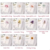 Thiệp hoa khô EBI HANDMADE vintage cao cấp chúc mừng sinh nhật Valentine 14/2 8/3 20/10 20/11 - Giá chỉ 13.000 VND 6