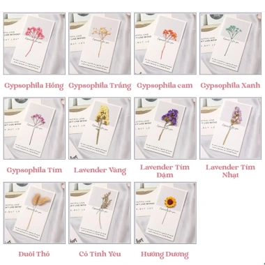 Thiệp hoa khô EBI HANDMADE vintage cao cấp chúc mừng sinh nhật Valentine 14/2 8/3 20/10 20/11 - Giá chỉ 13.000 VND
