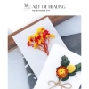 Thiệp Hoa khô Handmade A6 AOH Art of Healing 20/11 8/3 Noel Sinh nhật Giá 38.999đ 5