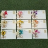 Thiệp hoa khô handmade cao cấp kèm bao thư sinh nhật 8/3 20/10 Giáng sinh 8.000đ 4