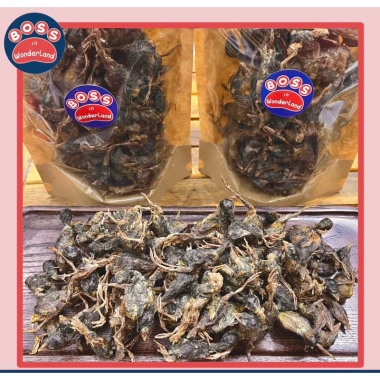 Thịt sấy đông khô 500g cho thú cưng - gà, chim, cút, cá, không ẩm, chỉ 50.000đ 5
