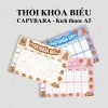 Thời Khóa Biểu A5 Giấy Cứng 300gsm Lịch Học Cute Brain Got Labubu Capybara Học Sinh và Sinh Viên 5