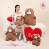Thú bông gấu trái tim đỏ 2in1 - Quà tặng Valentine & 8/3, lông xù cao cấp, giá ưu đãi 160k
