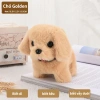 Thú Cưng Chó Điện Lông Mềm - Đi, Sủa, Vẫy Đuôi, Quà Tết Ấm Áp Giá 59.644₫ 8