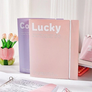 Thư mục ANDIN A4 - Dữ liệu sinh viên, túi giấy thi trong suốt, lá rời - Quà tặng 7
