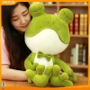 Thú Nhồi Bông Hình Ếch Xanh Hoạt Hình - Thân Thiện Da, Giá Ưu Đãi 184.432 VND 6