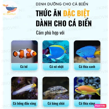 Thức ăn cá biển YEE dinh dưỡng, cám chìm chậm, đạm cao, cá lên màu 104.000 VND 2