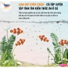Thức ăn cá biển YEE dinh dưỡng, cám chìm chậm, đạm cao, cá lên màu 104.000 VND 4