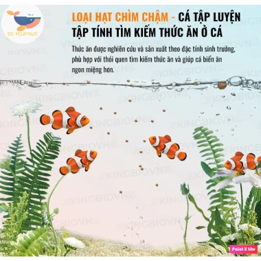 Thức ăn cá biển YEE dinh dưỡng, cám chìm chậm, đạm cao, cá lên màu 104.000 VND 4