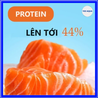 Thức ăn cá chép sư tử YEE Butterfly - Cám tăng trắng, lên vây vi không vàng nước 5