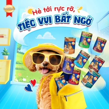 Thức ăn cho chó SmartHeart Pate 400g vị bò rau củ - Giá 200.000₫ giảm 48.000₫