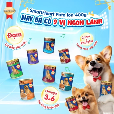 Thức ăn cho chó SmartHeart Pate 400g vị bò rau củ - Giá 200.000₫ giảm 48.000₫