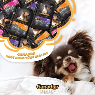Thức ăn chó Ganador 400g - Đa vị tự nhiên, dinh dưỡng cân bằng, chỉ 36.000đ 5 Thức ăn chó Ganador 400g - Đa vị tự nhiên, dinh dưỡng cân bằng, chỉ 36.000đ 5
