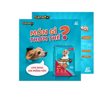 Thức ăn chó Ganador 400g - Đa vị tự nhiên, dinh dưỡng cân bằng, chỉ 36.000đ