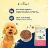 Thức ăn chó LuvCare cao cấp hạt cho chó nhỏ 500gr/2kg - Tặng lược chải lông, giá chỉ 60.300 VND 5
