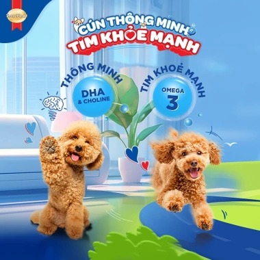 Thức ăn chó SmartHeart 2,7kg hạt vị bò nướng, gà, gan – Tặng set nón + yếm – Giá chỉ 219.600₫