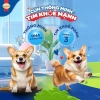 Thức ăn chó SmartHeart hạt 1,5kg vị bò nướng – Tặng Set Nón + Yếm HĐ299k – 107k 2