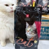 Thức ăn hạt Cat's eye 1Kg cho mèo mọi lứa tuổi giảm búi lông giá chỉ 120.000đ 2