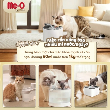 Thức ăn hạt Me-O Gold cao cấp 400g - Công thức chống búi lông cho mèo Persian - Giá chỉ 78.300 VND