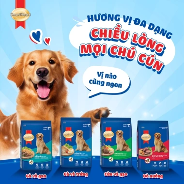 Thức ăn hạt SmartHeart cho chó bò nướng/cừu + gạo 3kg - Tặng nón & yếm, chỉ 198.000₫