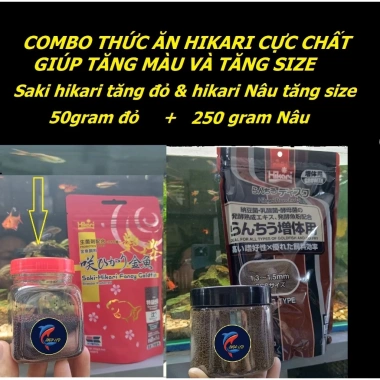 Thức ăn HIKARI tăng màu và tăng size cho cá Đĩa, Cầu Vồng, Thần Tiên, Phượng Hoàng - Giá 100.000 VND giảm từ 130.000