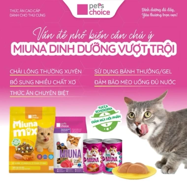 Thức ăn mèo MIUNA MIX 1kg hạt Topping thịt trứng tôm sấy khô - Giá 118.000 À petshop 6