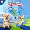 Thức ăn SmartHeart cho chó mẹ và sơ sinh 1,3kg Tặng Set Nón và Yếm Giá 129.600 2