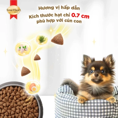 Thức ăn SmartHeart Gold cho chó con giống nhỏ, tặng 2 bịch 1kg - Giá ưu đãi 180.000 6 Thức ăn SmartHeart Gold cho chó con giống nhỏ, tặng 2 bịch 1kg - Giá ưu đãi 180.000 6